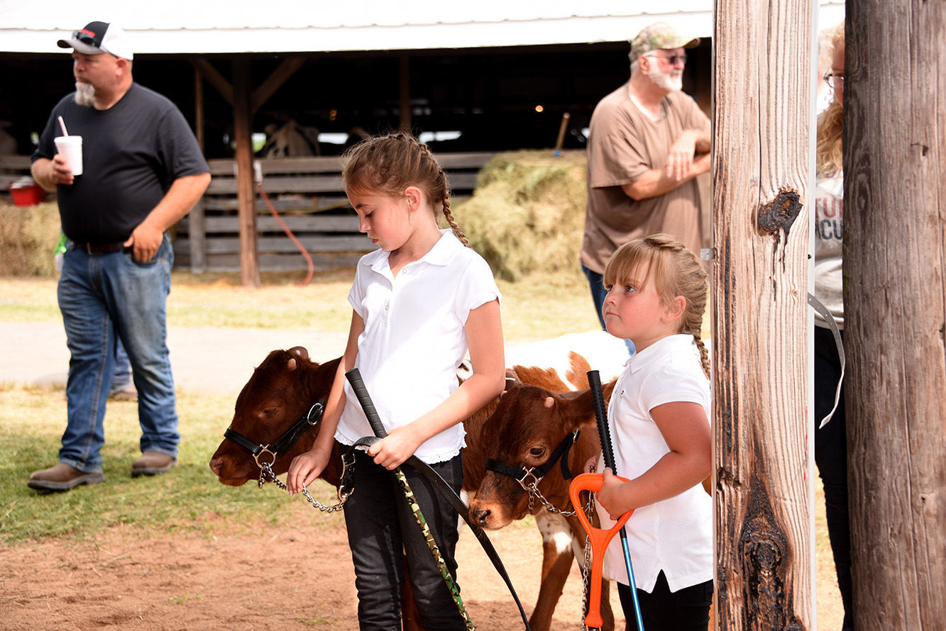 Tioga County Fair spirits dampened, but unquenched
